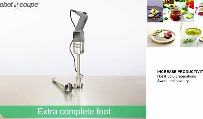 Mini MP 240 V.V. Immersion Blenders - Robot Coupe